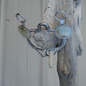 Horse Bit B598040